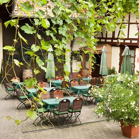 Weingut Und Gaestehaus Vongerichten Гостевой дом Oberhausen (Sudliche Weinstrasse)