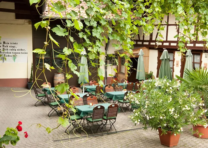 Weingut Und Gaestehaus Vongerichten Гостевой дом Oberhausen (Sudliche Weinstrasse)