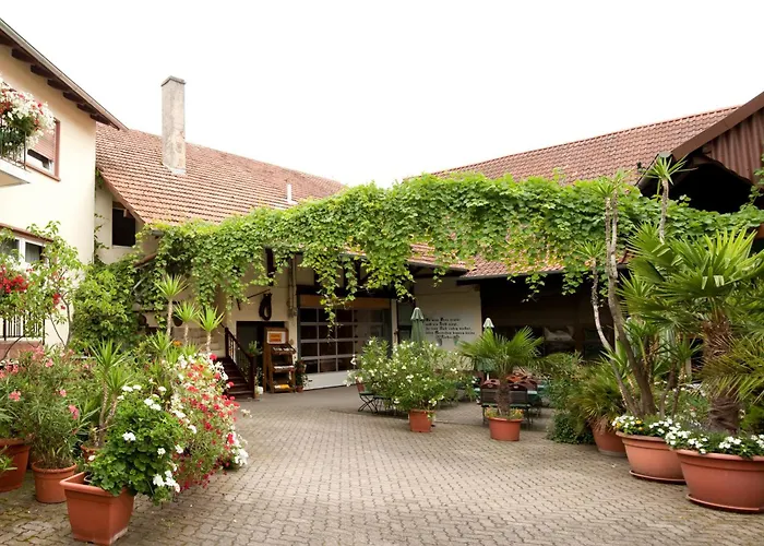 Гостевой дом Weingut Und Gaestehaus Vongerichten Oberhausen (Sudliche Weinstrasse)