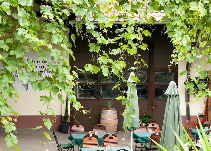 Weingut Und Gaestehaus Vongerichten 3*